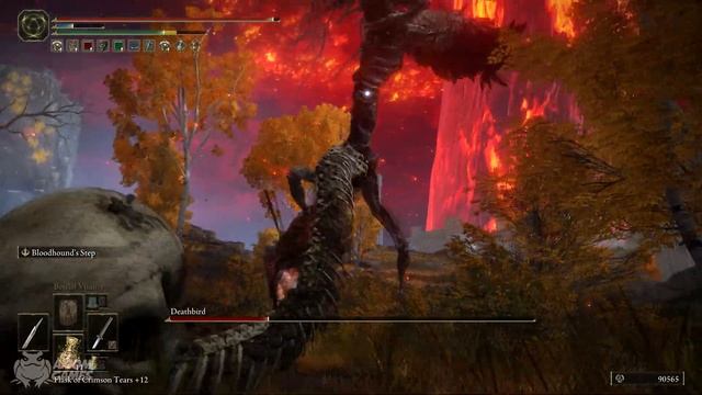 Elden Ring - Twinbird Kite Shield Location смотреть онлайн