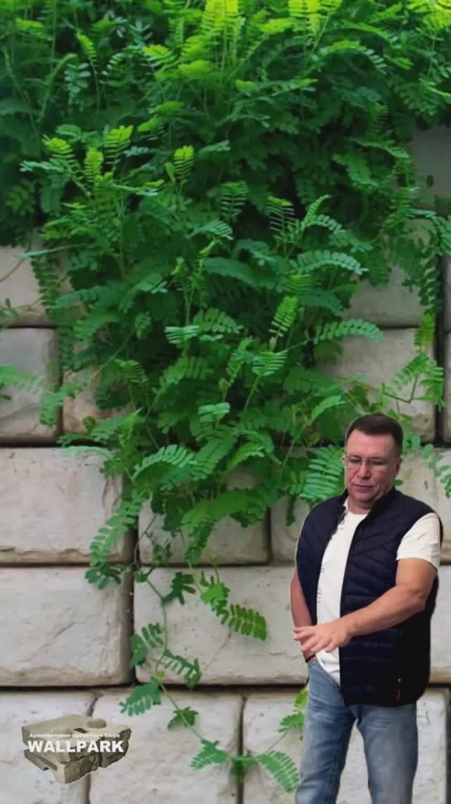 Монолитные подпорные стены больше не строят. смотреть онлайн