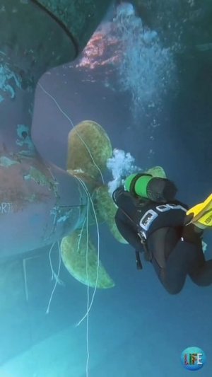 Работа для водолаза (2)