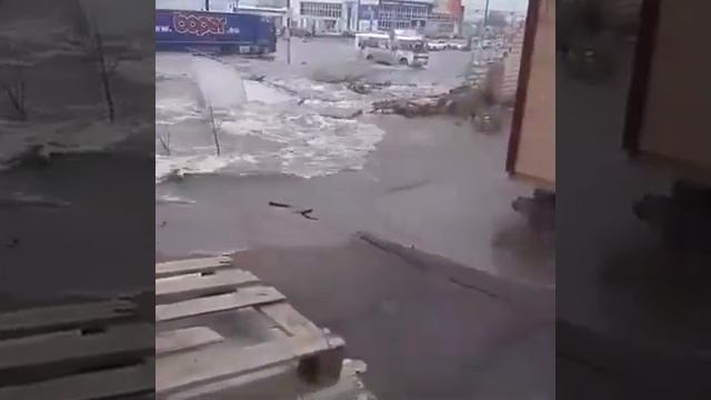 Исчезающий забор смотреть онлайн