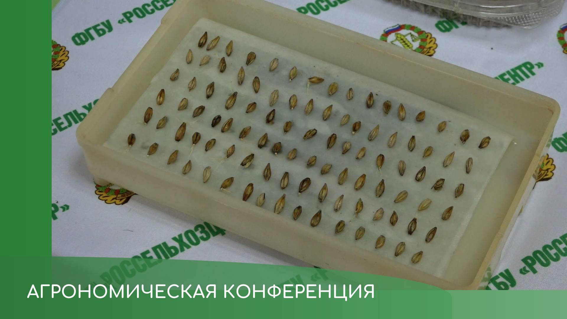 Агроконференция смотреть онлайн