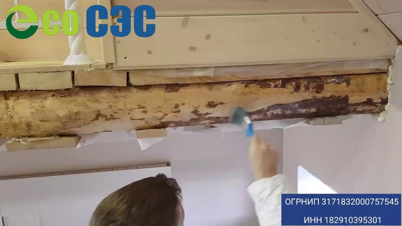 Обработка от жуков короедов усачей, точильщиков, древоточцов, типографа, а также плесени и грибка.