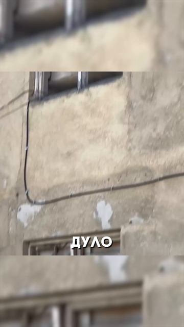 Вова Карманов