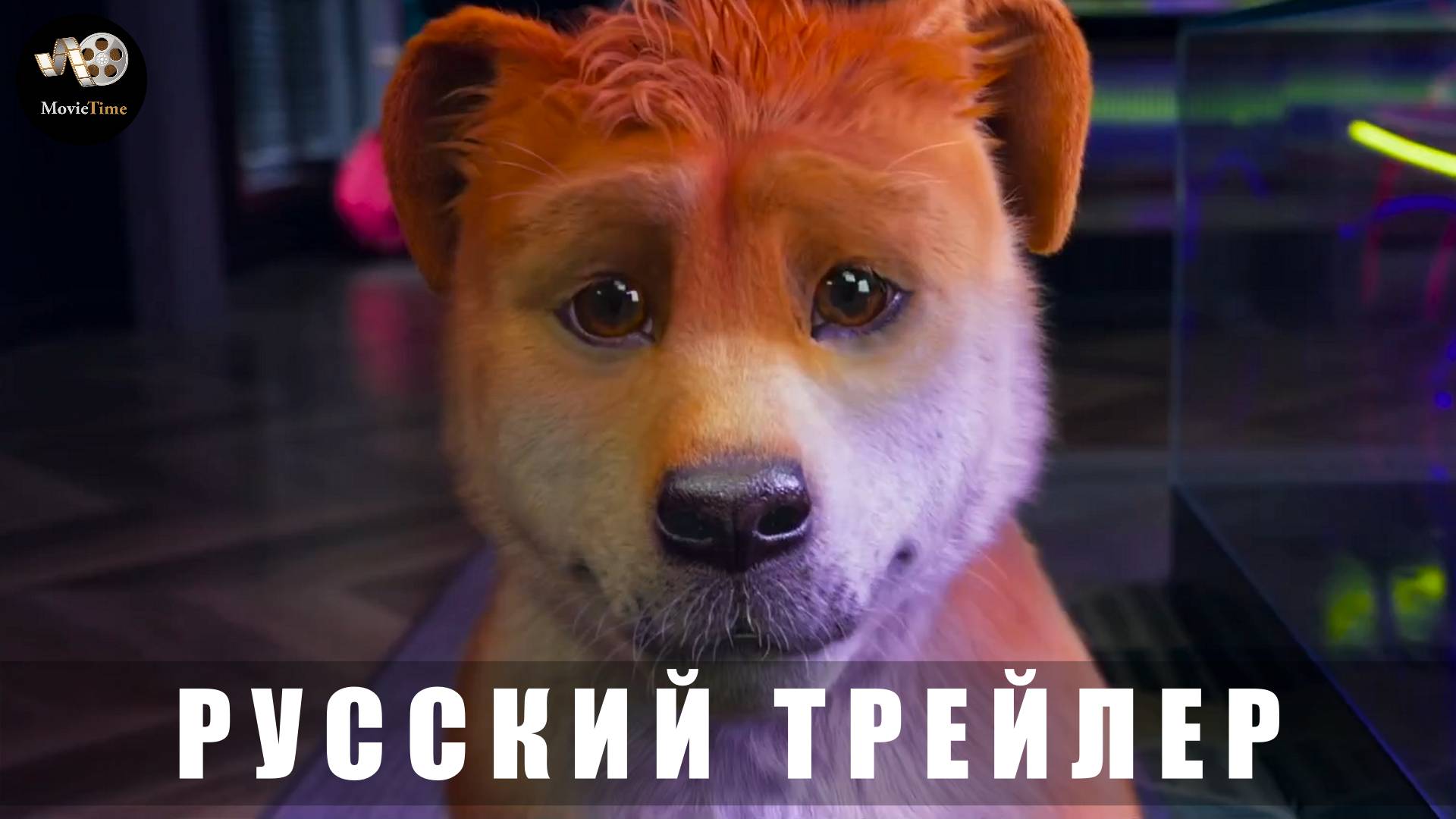 Трейлер - Пёс из будущего 2024 «В кино с 24 апреля 2025» (Русский дубляж) смотреть онлайн