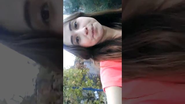 Разговор с собакой Домашнее видео720 смотреть онлайн