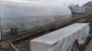 Обзор рассады