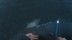 серьёзная новая сеть