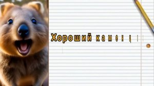 СМЕШНЫЕ АНЕКДОТЫ 🤣 СВЕЖАЯ ПОДБОРКА 🤪 ИГРА СЛОВ.