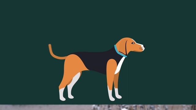 How to Read a Dog's Tail Wags смотреть онлайн