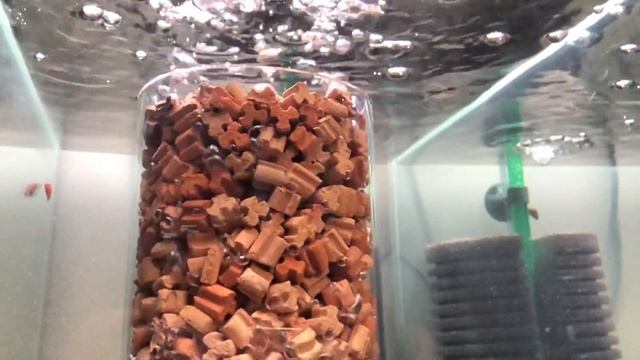 Premium Neo Media - bubble filter смотреть онлайн