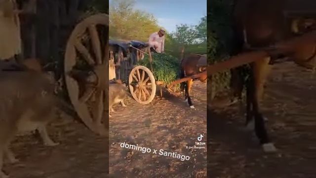 Santiago Del Estero DP Figueroa смотреть онлайн