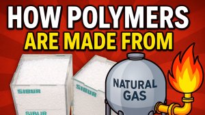 ГДЕ ЖИВУТ ПОЛИМЕРЫ?