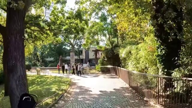 Зоопарк в Берлине слоны, розовый фламинго прогулка обзор туризм путешествия экскурсии