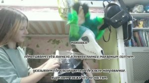 Офурение скалл дога / создание фурсьюта / фурри фендом
