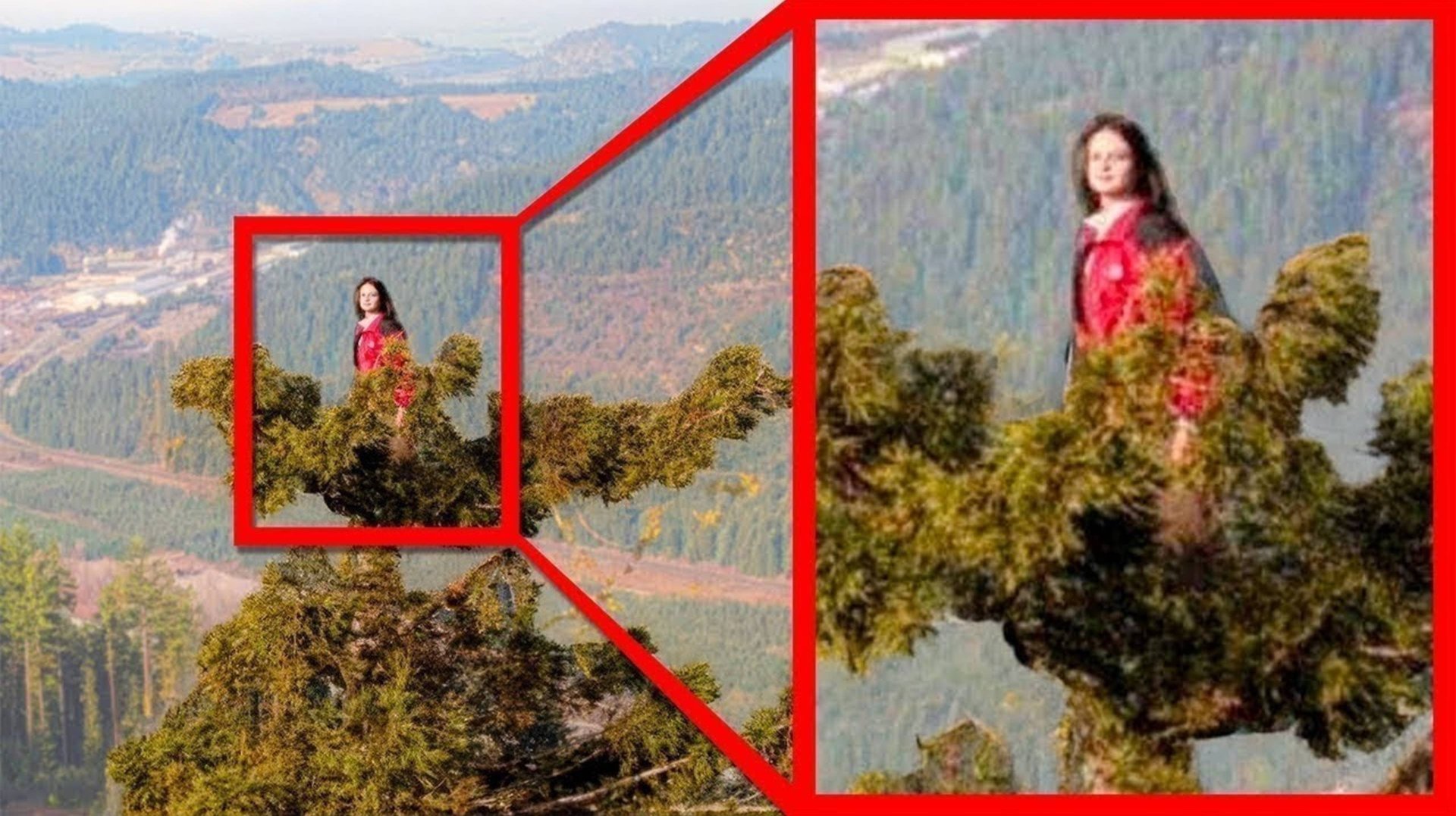 Она Прожила На Дереве 738 Дней(1080P_HD) смотреть онлайн