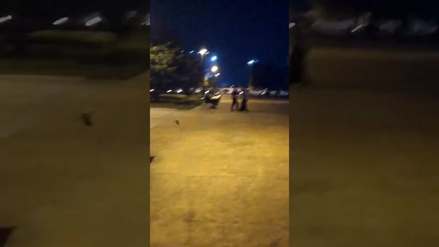 Наглый юЖный ЖУК атаковал меня в парке. ШОК КОНТЕНТ 😱🤣🤣 смотреть онлайн