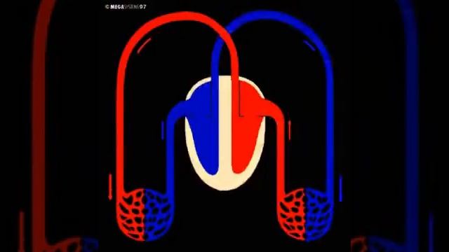 Коронарная и легочная системы кровобращения смотреть онлайн