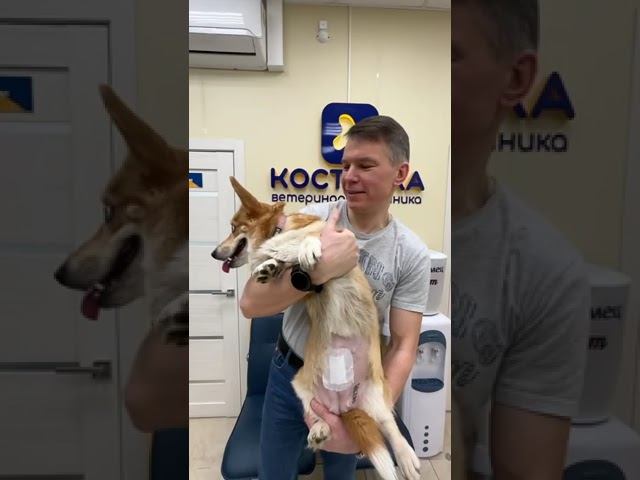 Отзыв - извлечение инородного тела смотреть онлайн