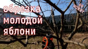 Обрезка молодой загущенной яблони!