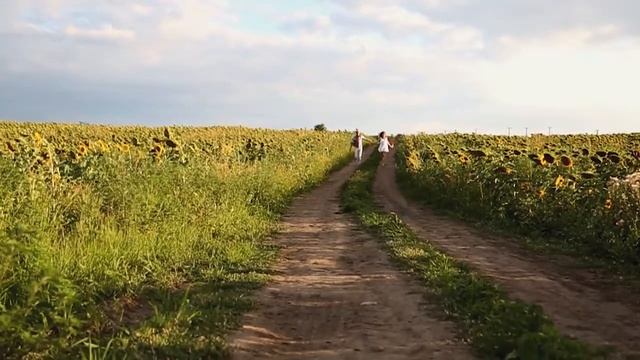 Клип смотреть онлайн