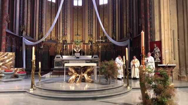 Messe du dimanche 17 mai 2020 - Cathédrale d'Aix-en-Provence смотреть онлайн