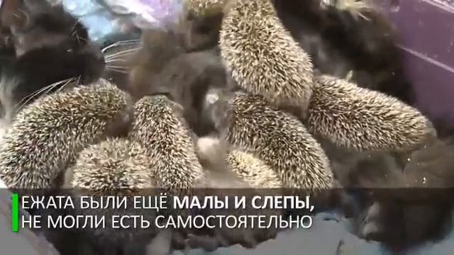 😏😏 смотреть онлайн