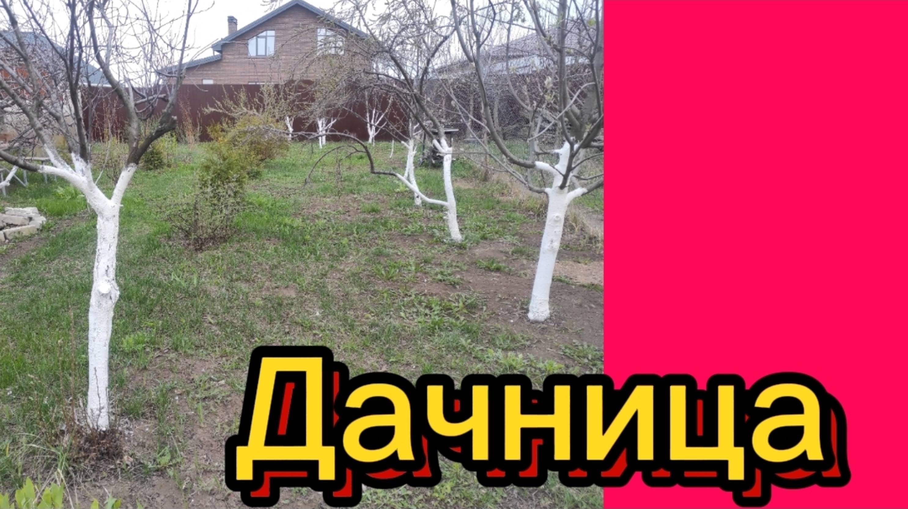 ДЕРЕВЕНСКИЙ ДНЕВНИК. "ДАЧНИЦА" смотреть онлайн