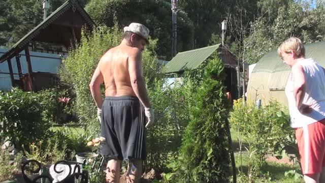 Посадили тую и подмосковную розу// Пересадили хосту и пожарили шашлык смотреть онлайн
