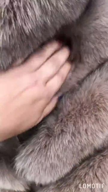 Жилет из меха песца смотреть онлайн