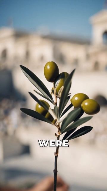 The Ancient Greek Olympics: Uniting Sports and Spirit смотреть онлайн