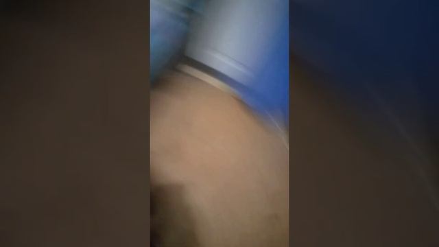 мое кот по имени шарлот и мое заец по имени мацони смотреть онлайн