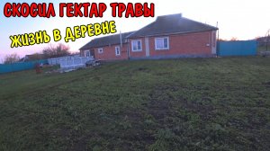 СКОСИЛ ГЕКТАР ТРАВЫ / СЛОМАЛАСЬ ГАЗОНОКОСИЛКА / САЖЕНЦЫ ПРИЖИЛИСЬ / ЖИЗНЬ В ДЕРЕВНЕ /ПОЖАРИЛИ КОТЛЕТ