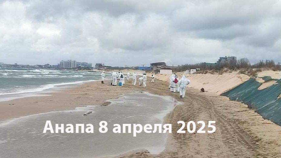 Анапа мазут 8 апреля 2025 смотреть онлайн