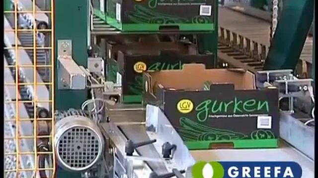 Линия сортировки огурцов смотреть онлайн