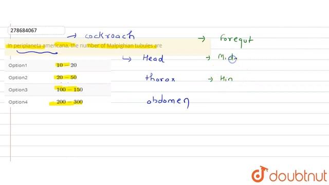 In periplaneta americana, the number of Malpighian tubules are | CLASS 12 | NTA NEET SET 50 | BI... смотреть онлайн