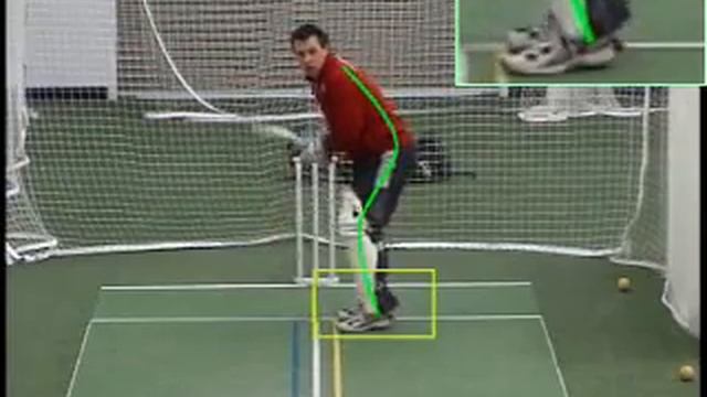 Dart fish Video - Cricket смотреть онлайн