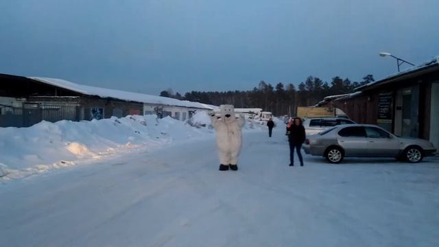 Нападение белого медведя/ The attack of the polar bear смотреть онлайн