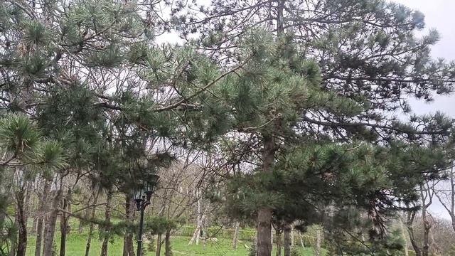 Ветрено в Пятигорске.