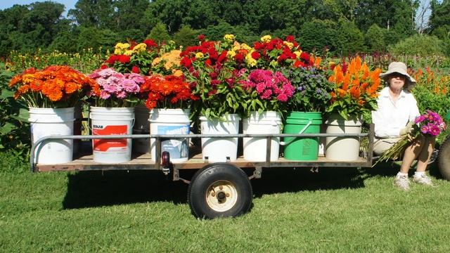 Flower Farming School Online смотреть онлайн