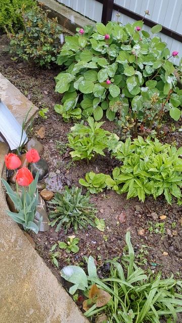 Весна бывает и такая смотреть онлайн