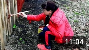 ЧЕМ ПОКРАСИТЬ ДЕРЕВЯННЫЙ ЗАБОР? ДЕРЕВНЯ.