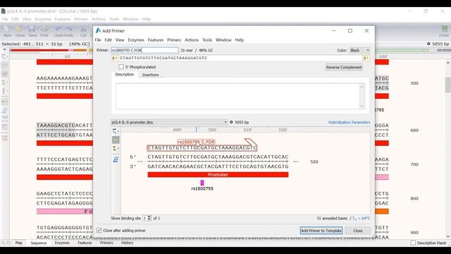 Primer Directed Mutagenesis in SnapGene смотреть онлайн