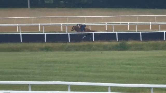 Amazon Queen (inside) / Koala Princess 5/8 mile смотреть онлайн