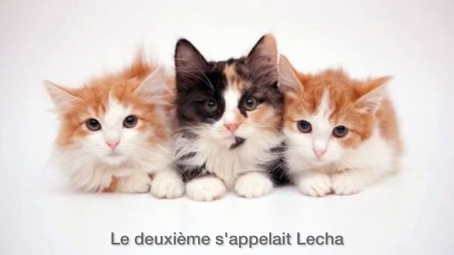 Trois Petits Chats (poésie)