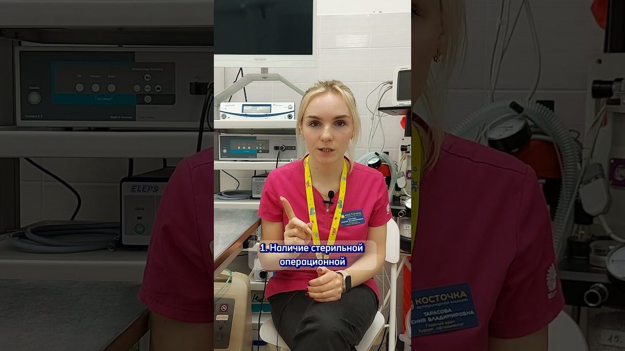 Опасна ли кастрация? смотреть онлайн