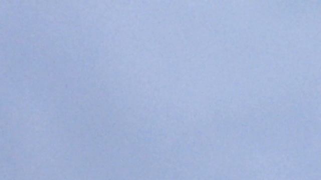 #Pigeon.Почему я не говорю сколько реально могут летать мои голуби. смотреть онлайн