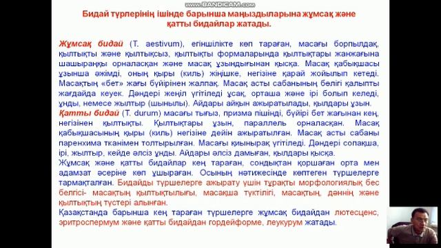 Бидай және қара бидай смотреть онлайн