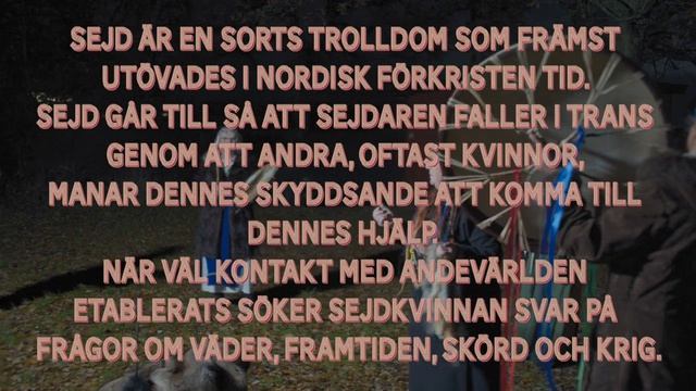 Häxceremoni i skogen смотреть онлайн