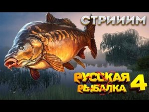 РУССКАЯ РЫБАЛКА 4 -р. Вьюнок ловим СОМОВ, НАЛИМОВ и т.д!!! заходии))