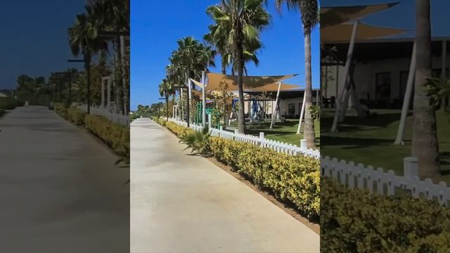 Paloma Orenda Side Turkey